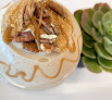 Your vegan food near me The Nutrition Fix in Epsom in New Hampshire